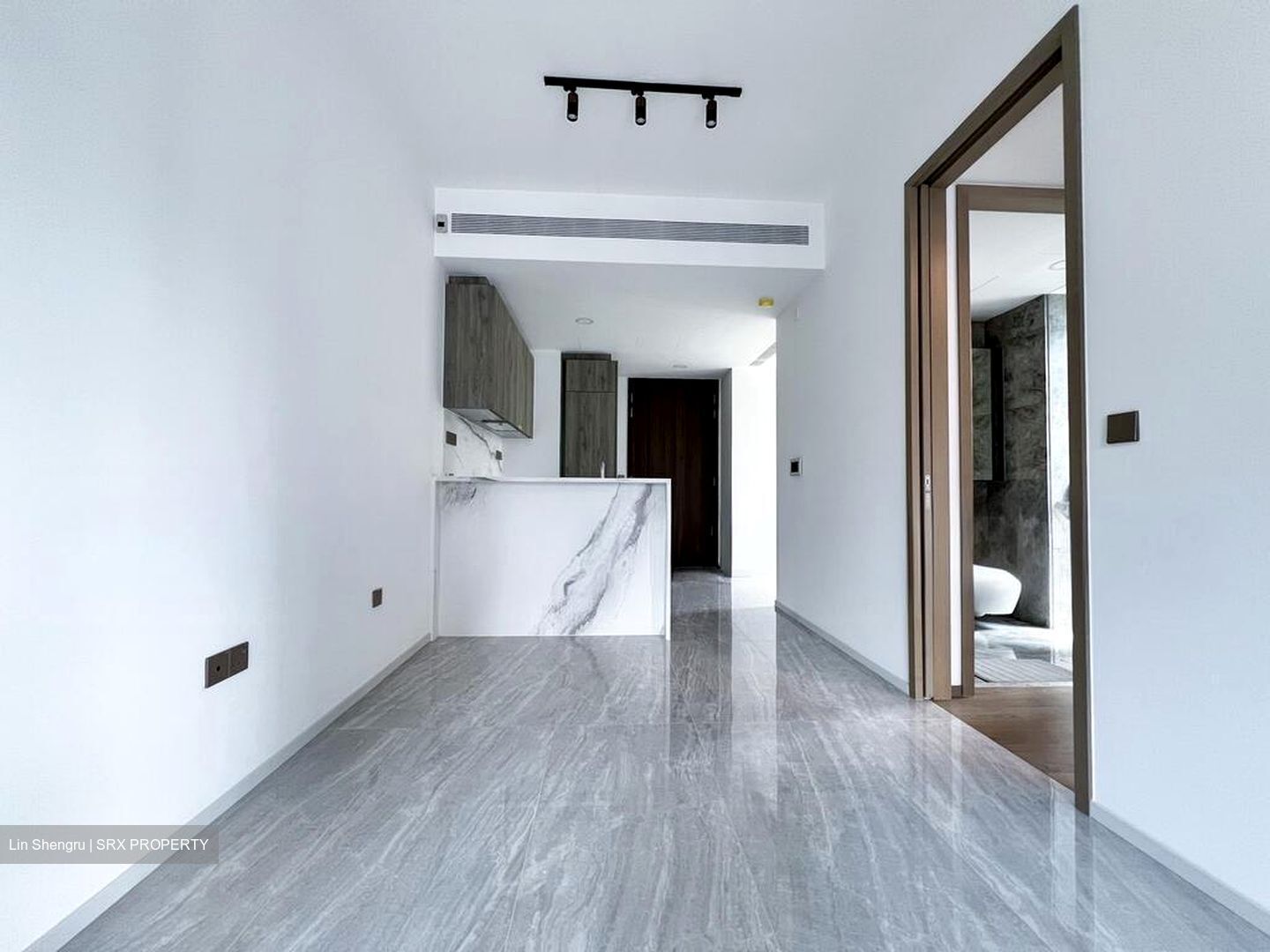Leedon Green (D10), Condominium #498732171
